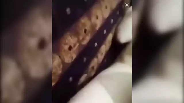 جنس حقيقي مع بنت تركية في أنطاليا
